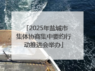 2025年盐城市集体协商集中要约行动推进会举办
