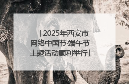 2025年西安市网络中国节·端午节主题活动顺利举行