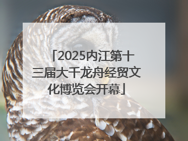2025内江第十三届大千龙舟经贸文化博览会开幕
