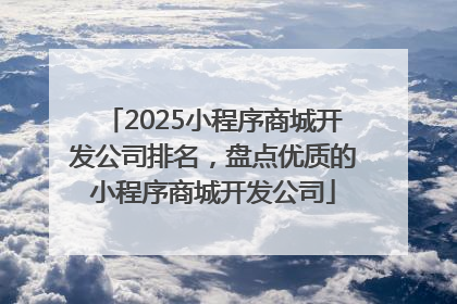 2025小程序商城开发公司排名，盘点优质的小程序商城开发公司