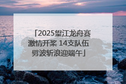 2025望江龙舟赛激情开桨 14支队伍劈波斩浪迎端午