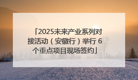 2025未来产业系列对接活动（安徽行）举行 6个重点项目现场签约