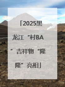 2025黑龙江“村BA”吉祥物“隆隆”亮相
