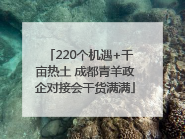 220个机遇+千亩热土 成都青羊政企对接会干货满满
