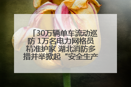 30万辆单车流动巡防 1万名电力网格员精准护家 湖北消防多措并举掀起“安全生产月”宣传热潮