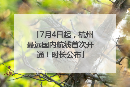 7月4日起，杭州最远国内航线首次开通！时长公布