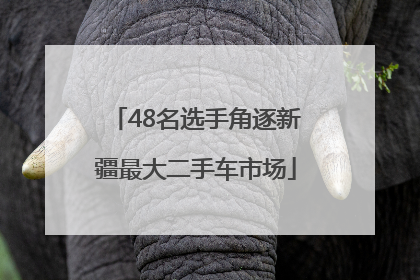 48名选手角逐新疆最大二手车市场