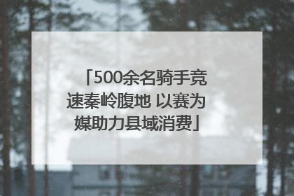 500余名骑手竞速秦岭腹地 以赛为媒助力县域消费
