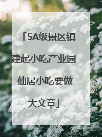 5A级景区镇建起小吃产业园 仙居小吃要做大文章