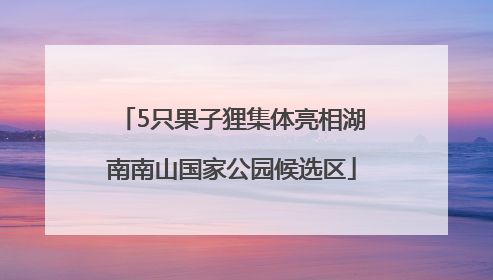 5只果子狸集体亮相湖南南山国家公园候选区