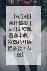 6月4日最佳情报｜麦田金穗飘香迎丰收，凌霄花开娇艳多姿！恭喜