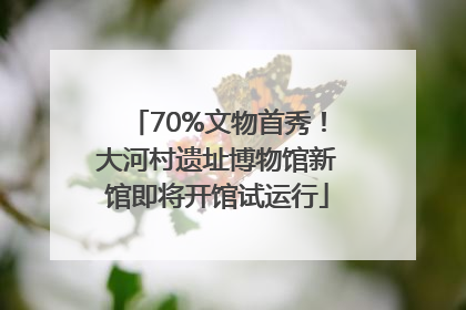 70%文物首秀！大河村遗址博物馆新馆即将开馆试运行