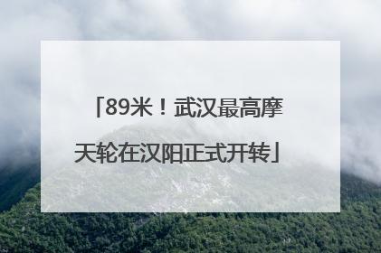 89米！武汉最高摩天轮在汉阳正式开转