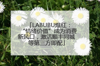 LABUBU爆红：“情绪价值”成为消费新风口，激活顺丰同城等第三方即配