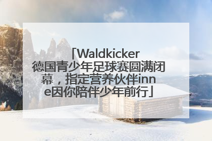 Waldkicker德国青少年足球赛圆满闭幕，指定营养伙伴inne因你陪伴少年前行